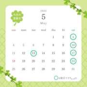 ヒメ日記 2025/04/30 23:40 投稿 ちさ 胡蝶蘭