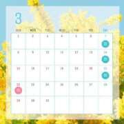 ちさ ?3月の出勤予定? 胡蝶蘭