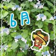 ヒメ日記 2026/06/12 19:01 投稿 ちさ 胡蝶蘭
