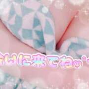 ヒメ日記 2025/03/15 17:58 投稿 池田　ゆい 未熟な人妻