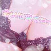 ヒメ日記 2025/04/02 19:08 投稿 池田　ゆい 未熟な人妻