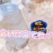 ヒメ日記 2025/08/02 17:48 投稿 池田　ゆい 未熟な人妻