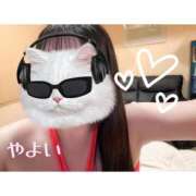 ヒメ日記 2025/08/19 02:22 投稿 やよい 奴隷コレクション