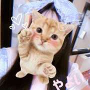 ヒメ日記 2025/09/02 18:23 投稿 やよい 奴隷コレクション