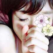 ヒメ日記 2025/03/28 01:53 投稿 しずか Club Paradise（クラブパラダイス）