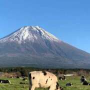 ヒメ日記 2023/12/08 20:55 投稿 さくら 新宿・新大久保おかあさん