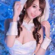 ヒメ日記 2025/11/17 11:58 投稿 Serina CELEB（セレブ）