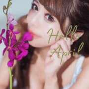 ヒメ日記 2026/04/01 23:29 投稿 Serina CELEB（セレブ）