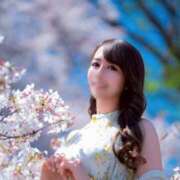 ヒメ日記 2026/04/06 18:12 投稿 Serina CELEB（セレブ）