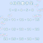 ヒメ日記 2025/04/01 03:13 投稿 のあ 和風パブ 百万石