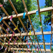 ヒメ日記 2025/06/23 18:40 投稿 のあ 和風パブ 百万石