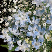 ヒメ日記 2025/07/14 12:46 投稿 のあ 和風パブ 百万石