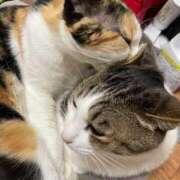 ヒメ日記 2025/02/20 16:25 投稿 ちはる 熟女家 豊中蛍池店