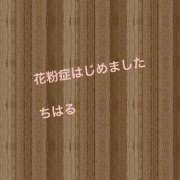 ヒメ日記 2025/03/13 13:53 投稿 ちはる 熟女家 豊中蛍池店