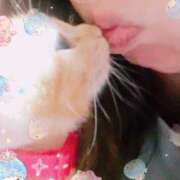 ヒメ日記 2025/04/07 19:17 投稿 ちはる 熟女家 豊中蛍池店