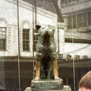 ヒメ日記 2025/04/21 14:53 投稿 ちはる 熟女家 豊中蛍池店