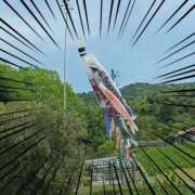 ヒメ日記 2025/05/06 15:07 投稿 ちはる 熟女家 豊中蛍池店