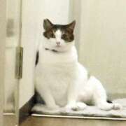 ヒメ日記 2025/09/27 19:28 投稿 ちはる 熟女家 豊中蛍池店