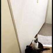 ヒメ日記 2025/10/01 14:27 投稿 ちはる 熟女家 豊中蛍池店