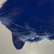 ヒメ日記 2025/10/19 10:30 投稿 ちはる 熟女家 豊中蛍池店