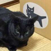 ヒメ日記 2025/10/27 14:13 投稿 ちはる 熟女家 豊中蛍池店