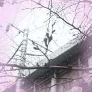 ヒメ日記 2026/03/23 13:02 投稿 ちはる 熟女家 豊中蛍池店