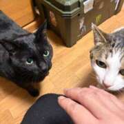 ヒメ日記 2026/04/02 14:26 投稿 ちはる 熟女家 豊中蛍池店