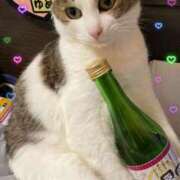 ヒメ日記 2026/04/04 15:35 投稿 ちはる 熟女家 豊中蛍池店