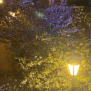 ちはる こんばんはー🌃 熟女家 豊中蛍池店