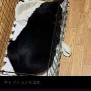 ヒメ日記 2026/04/20 16:38 投稿 ちはる 熟女家 豊中蛍池店