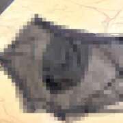 ヒメ日記 2025/08/03 00:27 投稿 倉木ゆみ 千葉快楽Ｍ性感倶楽部～前立腺マッサージ専門～