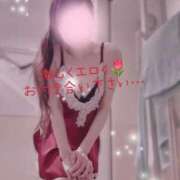 ヒメ日記 2025/05/02 09:18 投稿 泉まこと 彩タマンサ（埼玉ハレ系）