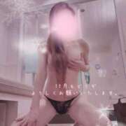 ヒメ日記 2025/12/01 11:31 投稿 泉まこと 彩タマンサ（埼玉ハレ系）