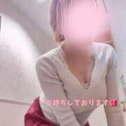 ヒメ日記 2026/06/16 08:23 投稿 泉まこと 彩タマンサ（埼玉ハレ系）