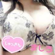 ましろ 出勤 もみもみワンダーランド