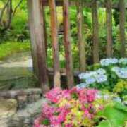 ヒメ日記 2025/06/16 07:57 投稿 まこと 人妻日記2nd