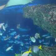 ヒメ日記 2025/08/01 10:15 投稿 まこと 人妻日記2nd