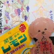 ヒメ日記 2025/11/17 09:08 投稿 まこと 人妻日記2nd