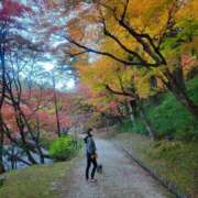 ヒメ日記 2025/11/24 08:49 投稿 まこと 人妻日記2nd