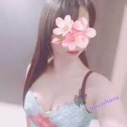 ヒメ日記 2025/04/03 10:33 投稿 川原 モアグループ所沢人妻城