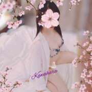 ヒメ日記 2026/04/06 09:57 投稿 川原 モアグループ所沢人妻城