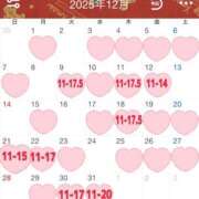 ヒメ日記 2025/11/22 19:36 投稿 しずく 無我（むが）