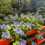 しずく 次は日曜日♡ 無我（むが）