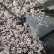 ヒメ日記 2025/04/01 18:00 投稿 ちあき ぽっちゃり熟女 ～バカラ～