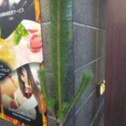 ヒメ日記 2025/12/16 09:26 投稿 ちあき ぽっちゃり熟女 ～バカラ～