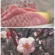 ヒメ日記 2026/03/02 12:22 投稿 ちあき ぽっちゃり熟女 ～バカラ～