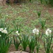 ヒメ日記 2026/03/19 08:50 投稿 ちあき ぽっちゃり熟女 ～バカラ～