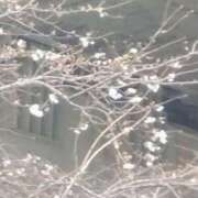 ヒメ日記 2026/03/20 08:40 投稿 ちあき ぽっちゃり熟女 ～バカラ～