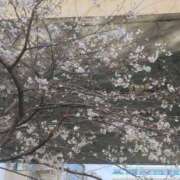 ヒメ日記 2026/03/24 08:52 投稿 ちあき ぽっちゃり熟女 ～バカラ～