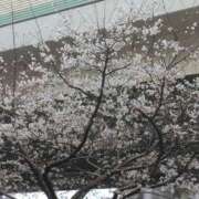 ヒメ日記 2026/03/25 10:02 投稿 ちあき ぽっちゃり熟女 ～バカラ～